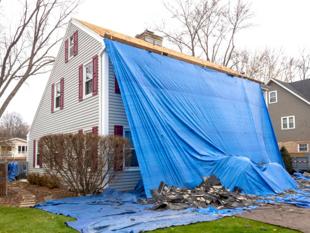 Best Siding Removal and Disposal  in Hallstead, PA