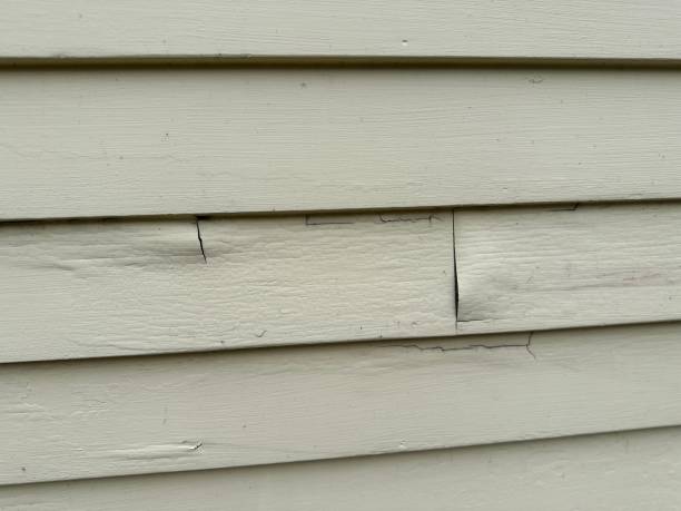 Best Residential Vinyl Siding Installation  in Hallstead, PA